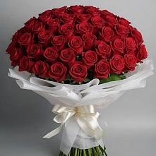 Букет 101 Красная роза Блэк Мэджик в Тухчаре