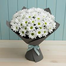 Букет цветов из:  Хризантемы в Тухчаре