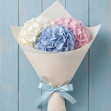 Букет цветов из:  Гортензия в Тухчаре