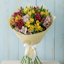 Букет цветов из:  Альстромерии в Тухчаре