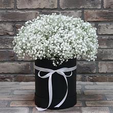 Цветочная композиция из Гипсофила в шляпной коробке в Тухчаре