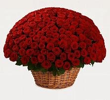 Премиум букет из: Розы в Тухчаре