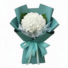Букет цветов из:  Гортензия в Тухчаре